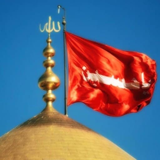 روح الله ابوالحسنی دوست دارم خاکم کنن تو کربلا آقام حسین